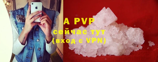 apvp Горняк