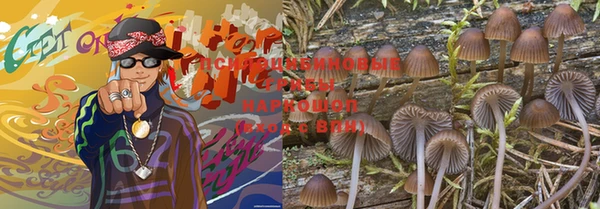 марки nbome Гусь-Хрустальный