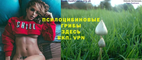 марки nbome Гусь-Хрустальный