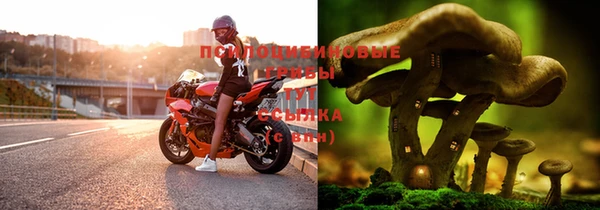 метадон Гусев
