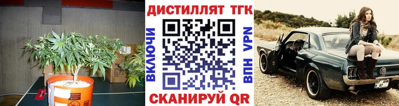 Купить где  Костерёво  Дистиллят ТГК концентрат 