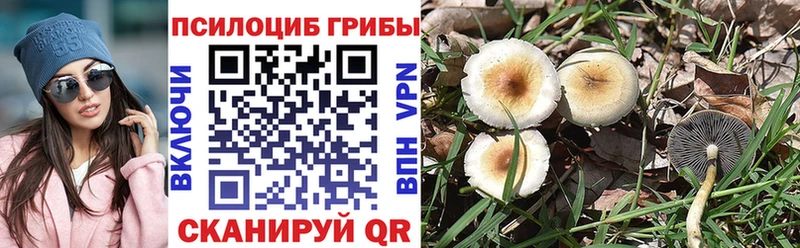 Псилоцибиновые грибы мухоморы Купить Костерёво